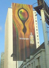 absolut ad vagina.jpg