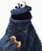 cookie monster.jpg