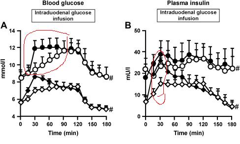 fast vs. constant infusion.JPG