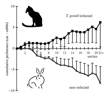 fatal feline preference.jpg