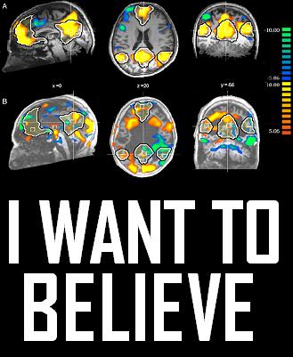 coma patients brain activity