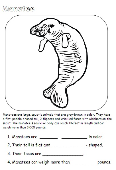 manatee.jpg