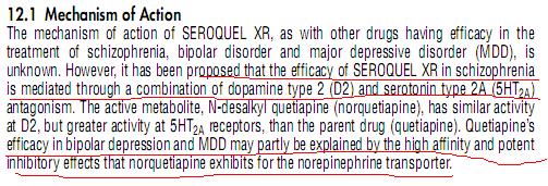 moa pi seroquel.JPG