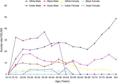 suicide rates by age and race 2004.jpg